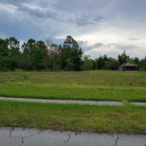 Clear, Level Lot for sale in Deltona