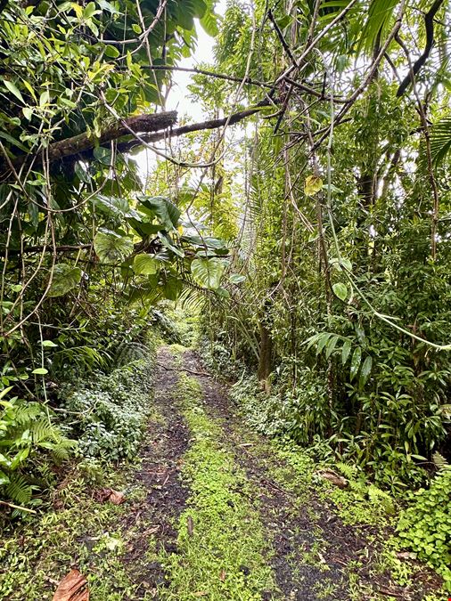 Hana Highway, Hana, HI 96713