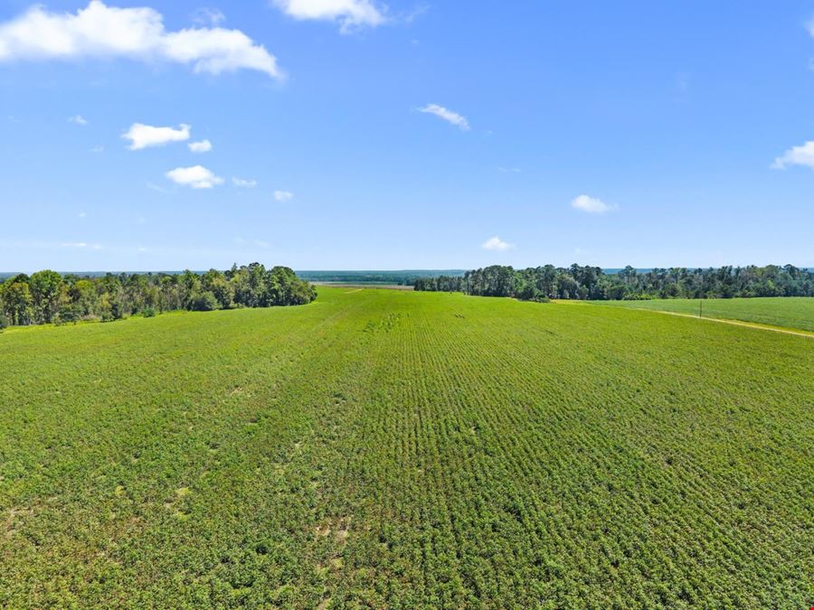 1726 GA Hwy 147
