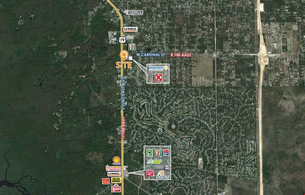 Homosassa Walmart Out-parcel