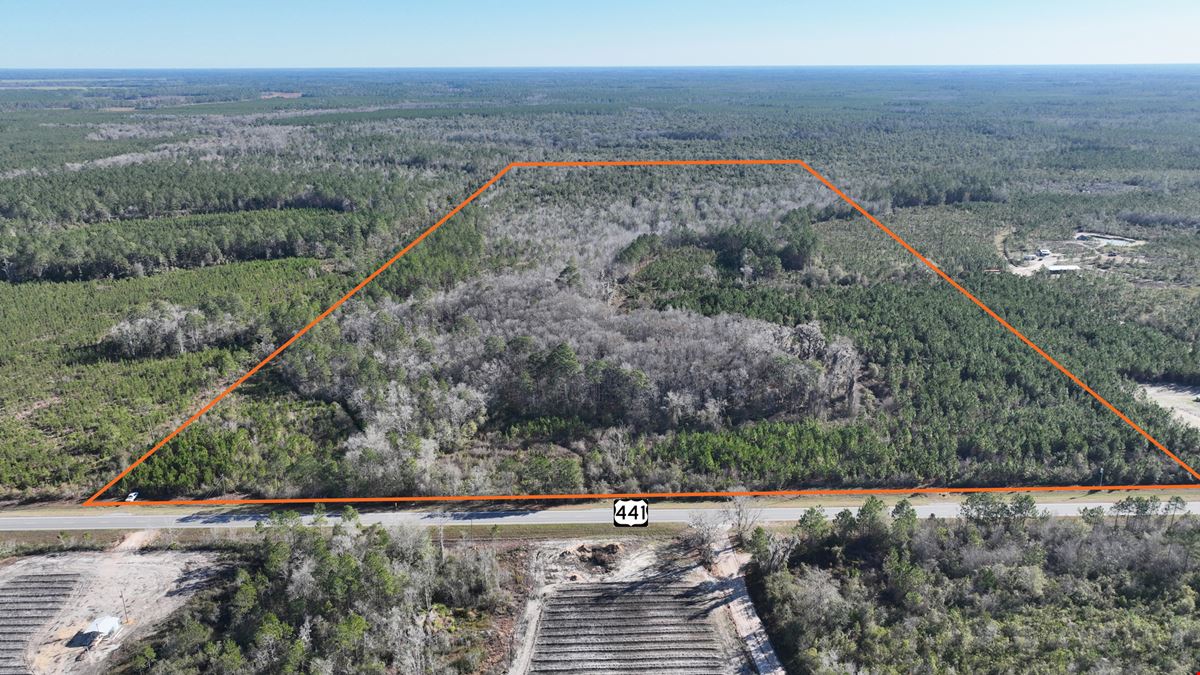 Clinch County 95 Acres Timber and Hunting Tract