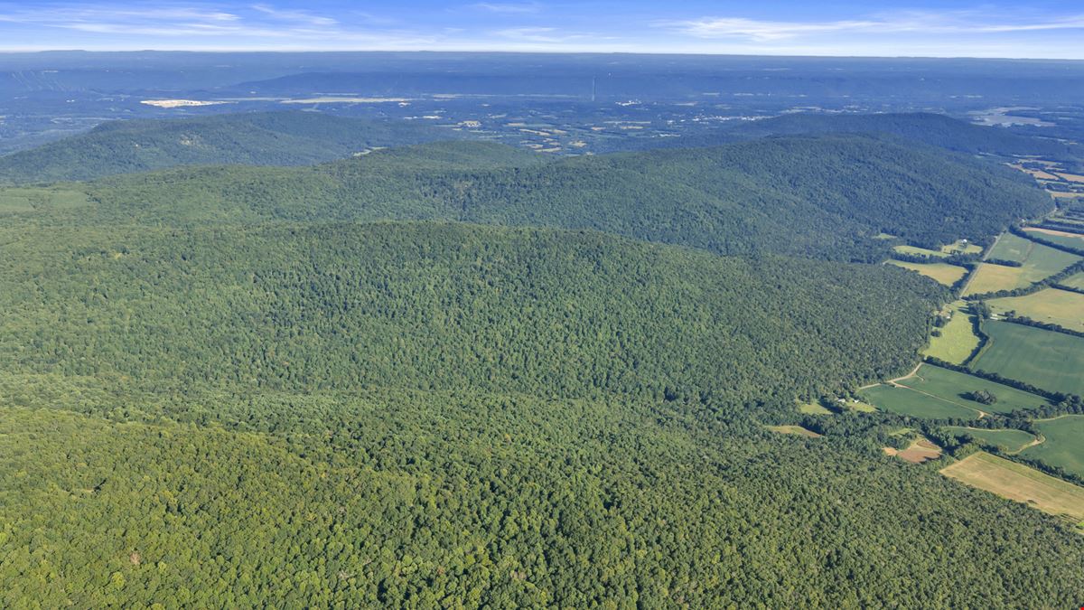 West Dempsey 339 Acres