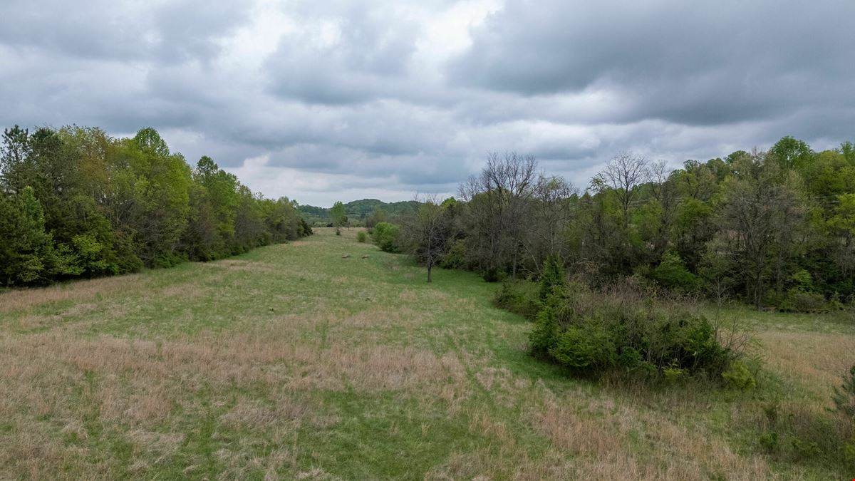 New Development Opportunity