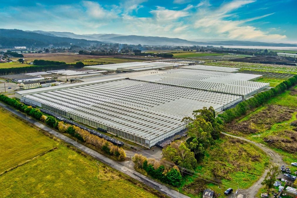 Arcata Greenhouses