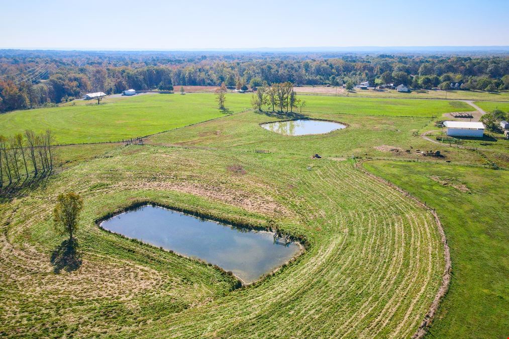 47.5 +/- AC Forest Chapel Rd