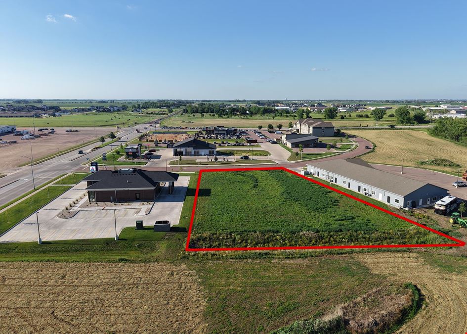 Tea Commercial Land