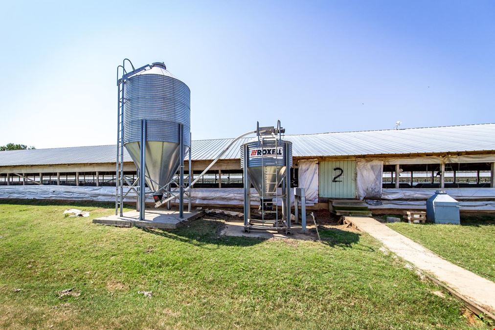 Hope Arkansas Chicken Farm