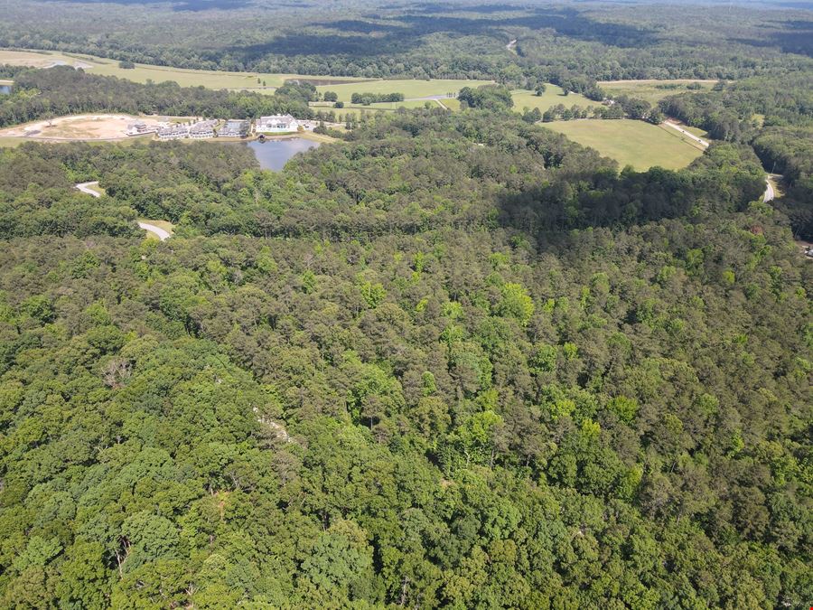 713.08 Acres - Chattahoochee Meadows