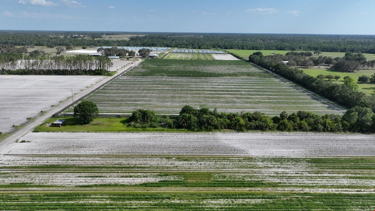 Manatee County Farmland