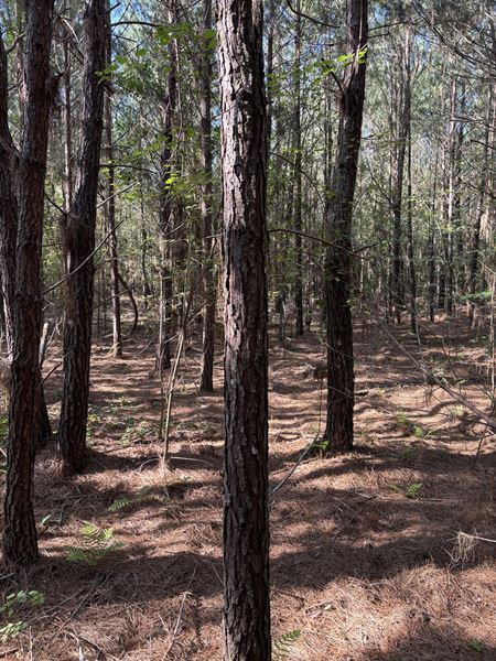Preview of VacantLand space for Sale at Ellisville
