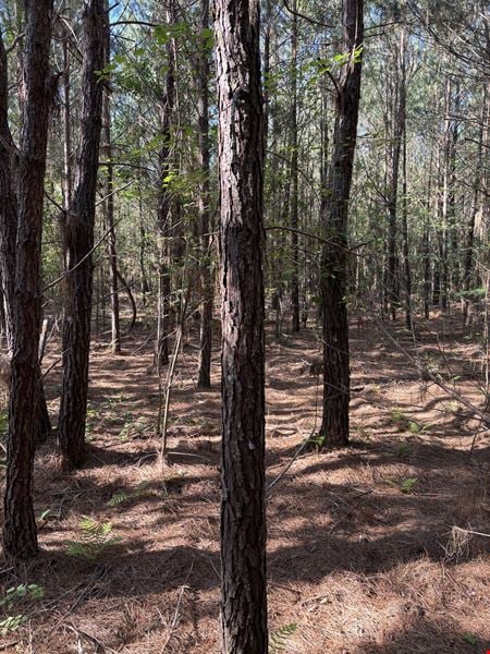 Preview of VacantLand space for Sale at Ellisville