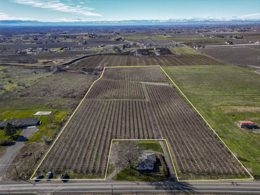 Occidental Orchards