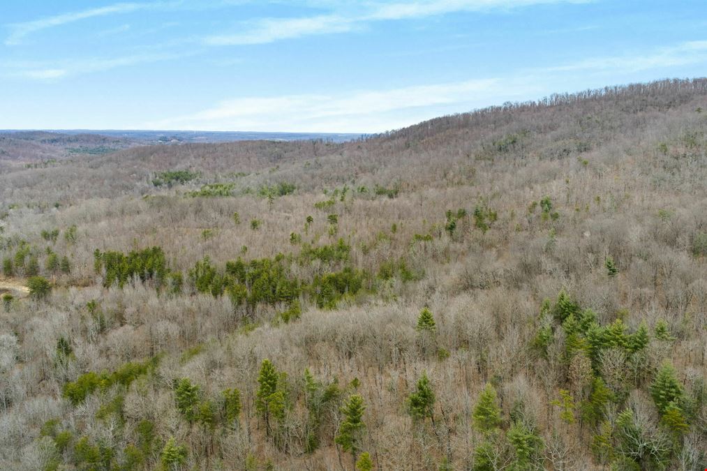 78.08 Acres - Winfield, TN