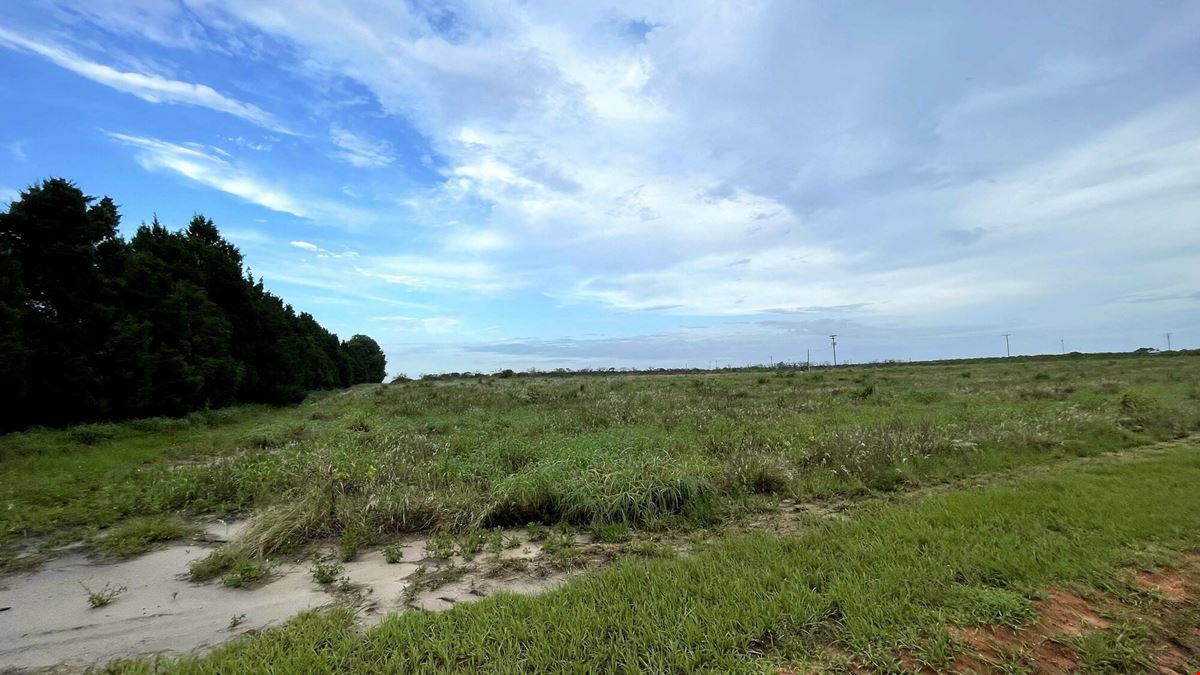 Lake Bella Road Transitional Land