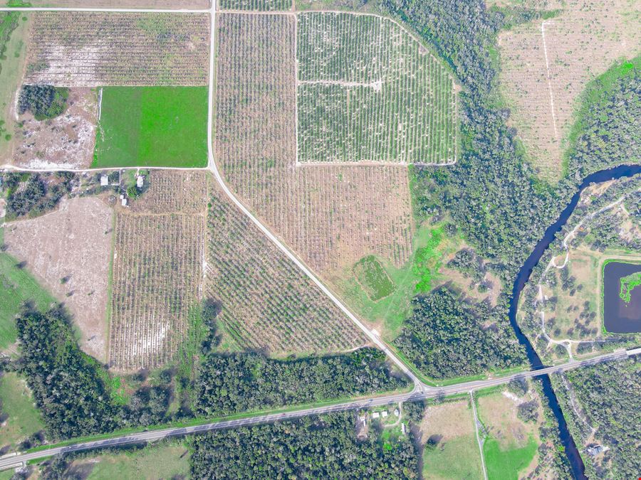 Peace River Mixed-Use Development Tract — 114± Acres | 18± AC Commercial | 2,179' on SR-64
