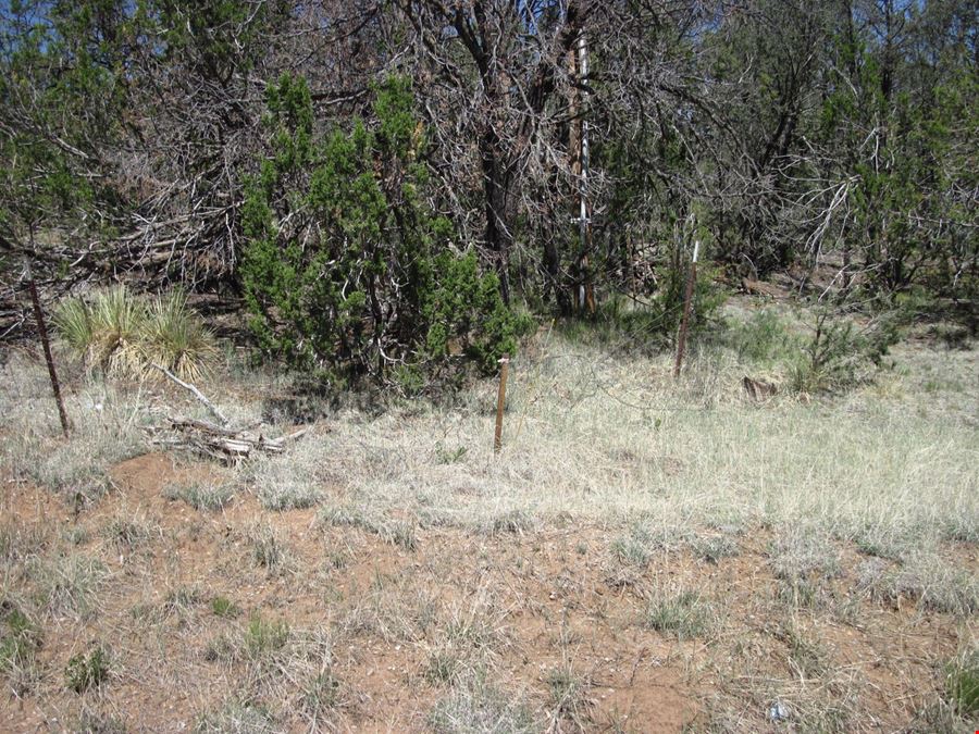 156 Jesse James Rd