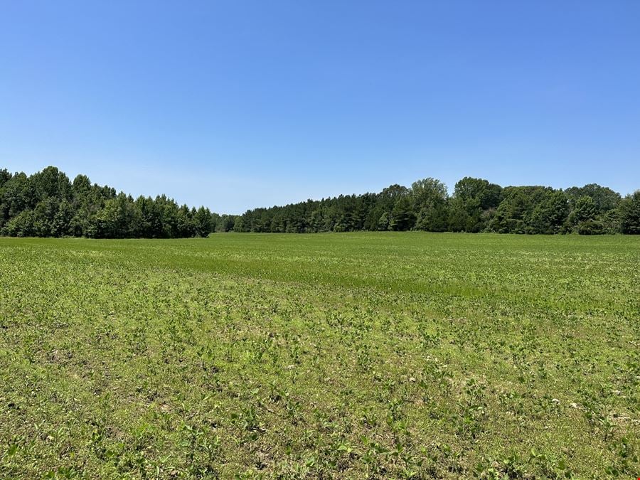120 Acres +/- of Cultivated Farmland & Timber