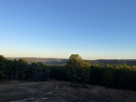 Preview of VacantLand space for Sale at Sans Bois Mountains