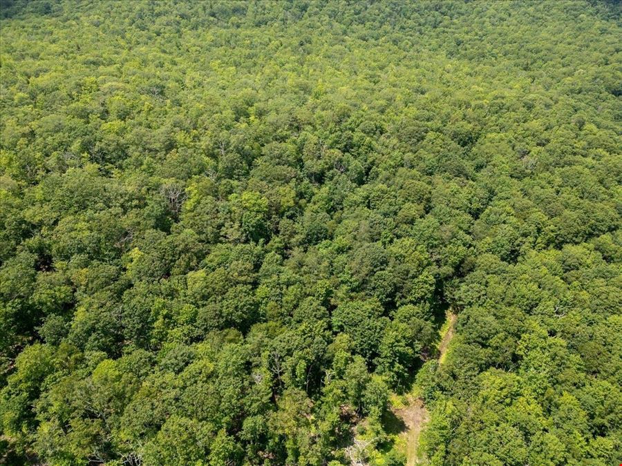 173 ACRES MOUNTAIN-SIDE LAND