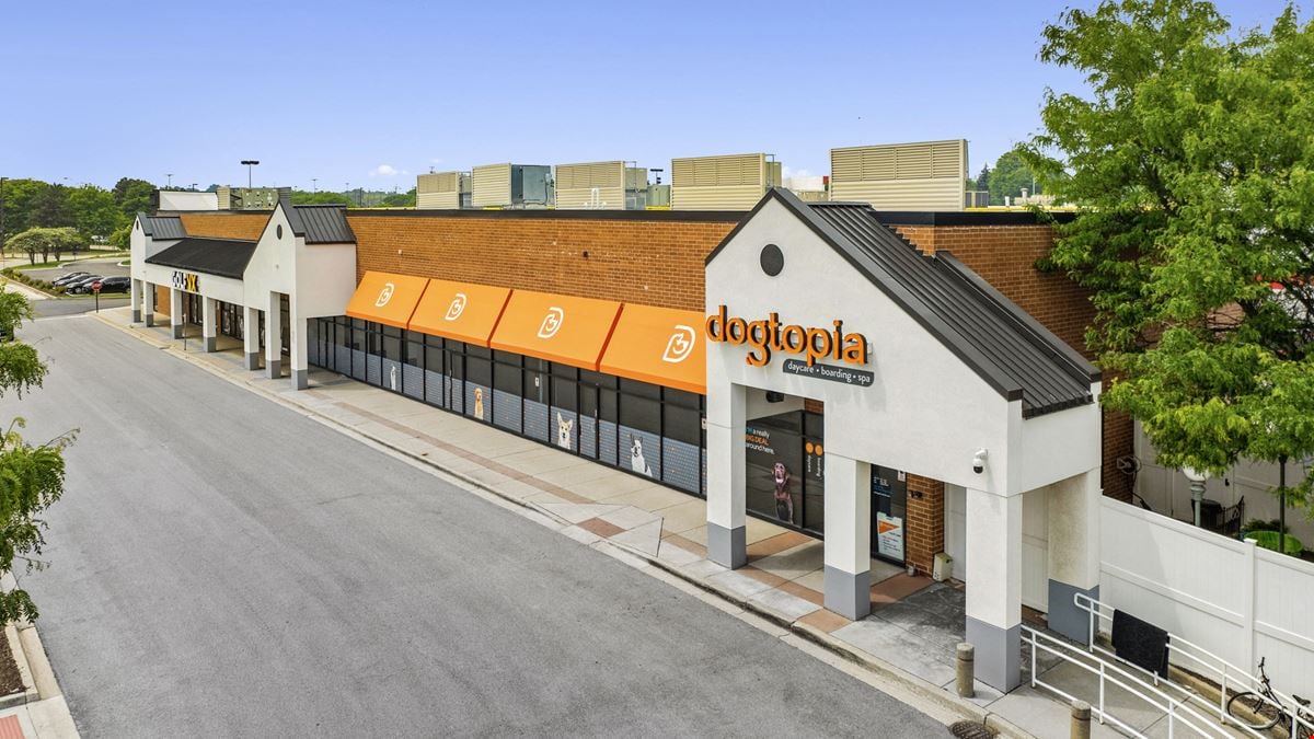 Dogtopia & Golf VX