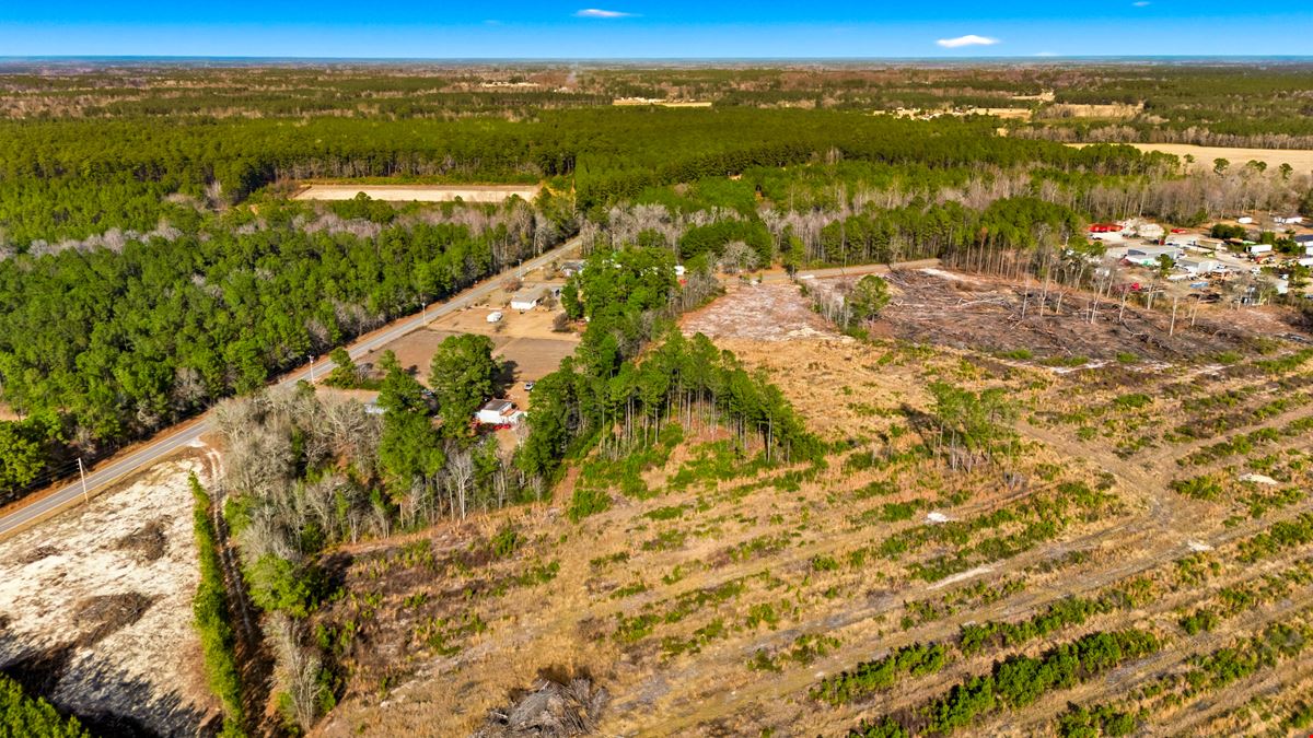 Development Opportunity - 127 Acres, Loris, SC