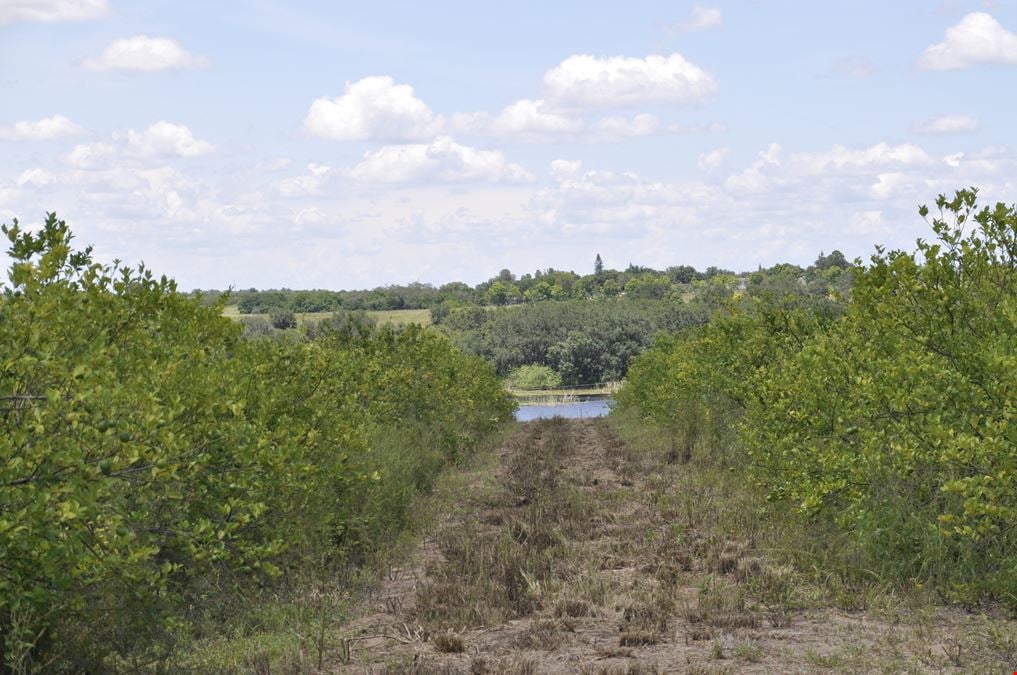 Dundee Lakes Residential Land