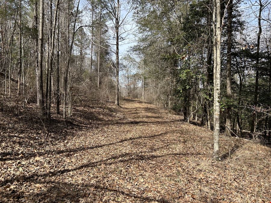 Garland Belmont Tract