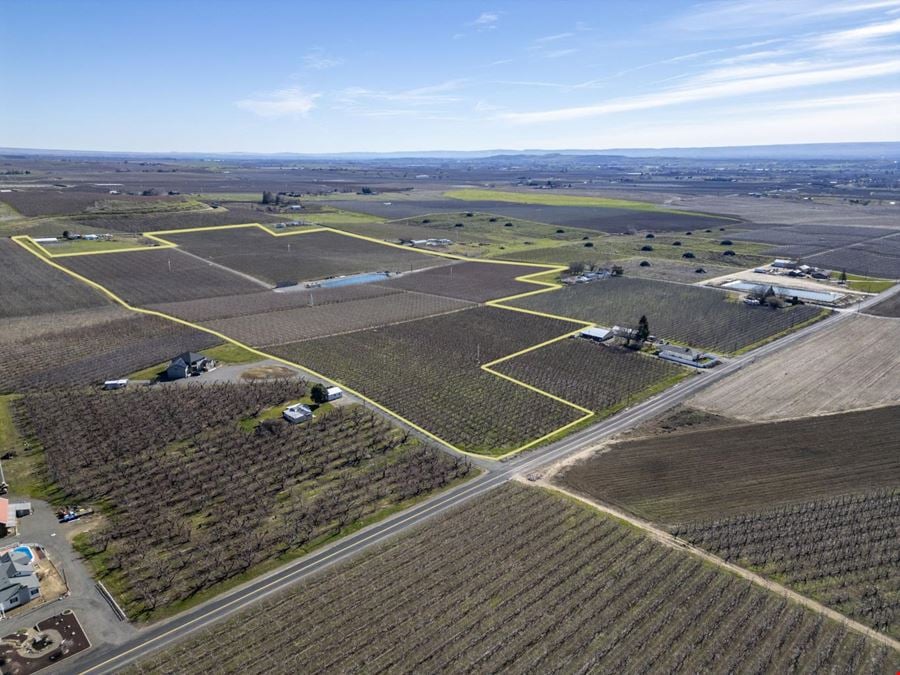 Occidental Orchards