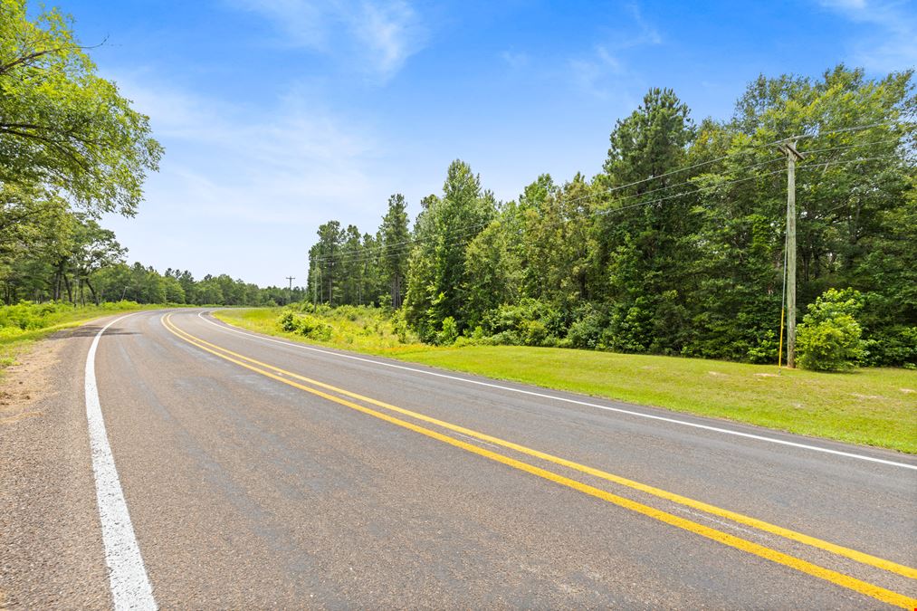 Strategic Land Investment in Trinity
