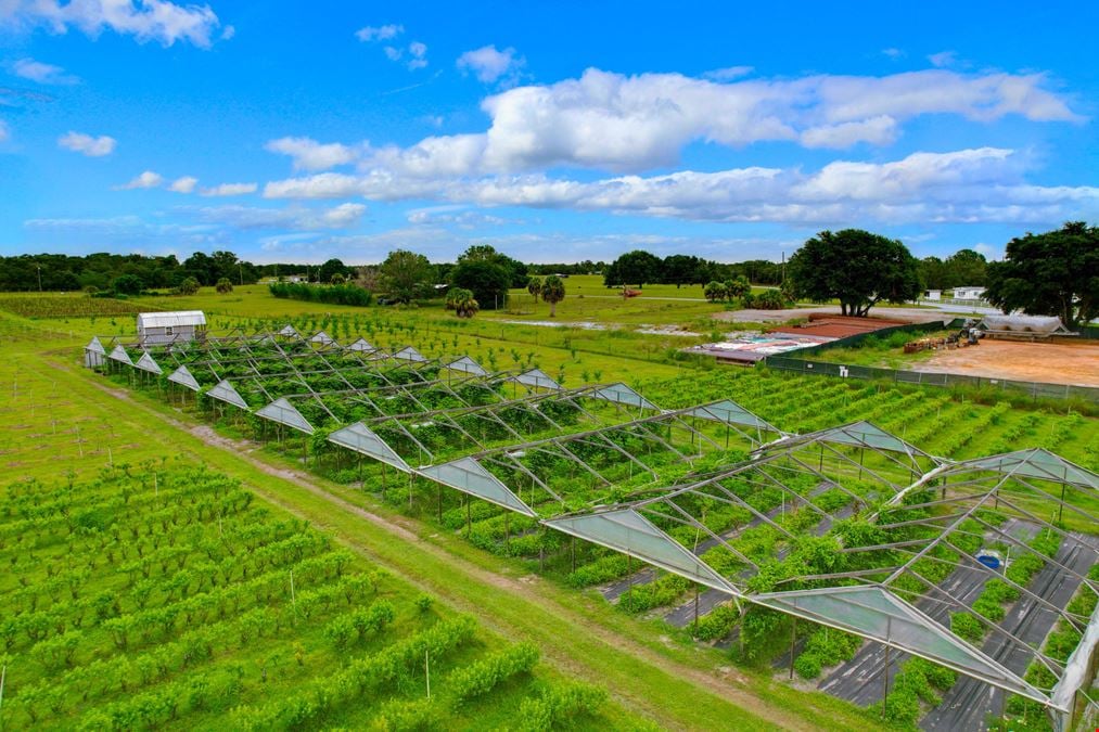Organic Farm