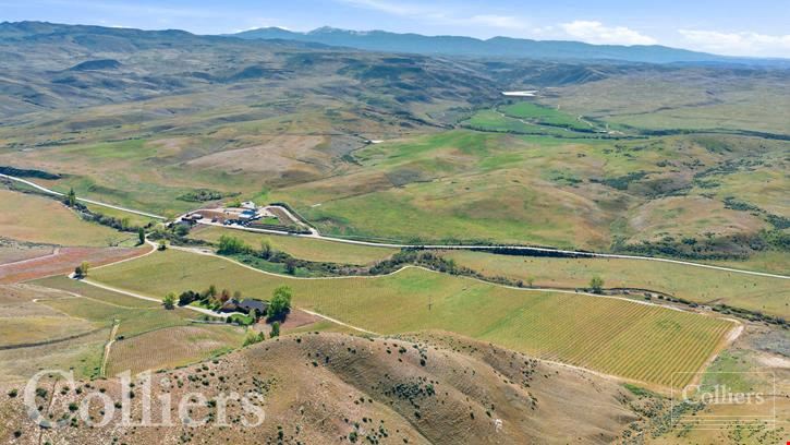 Vineyards, Winery, Restaurant & Home For Sale | 3 Horse Ranch Vineyards