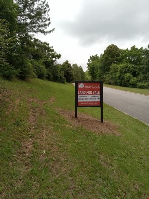 Land For Sale (Brook Highland Pkwy / Eagle Ridge Dr)