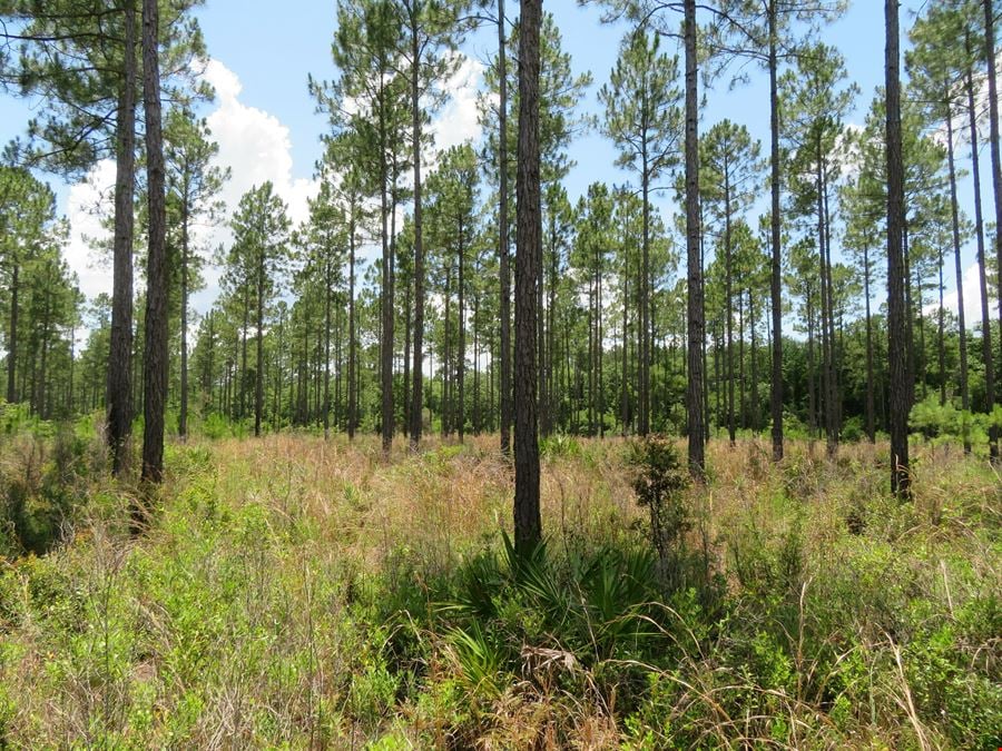 84.69 AC Cooks Landing Rd