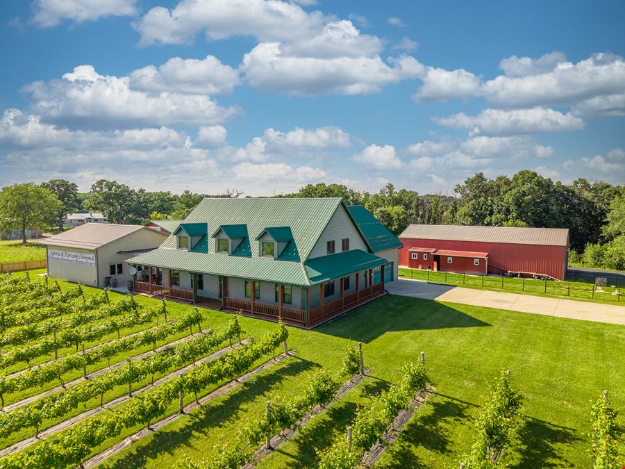 Spirits of Norway Vineyard