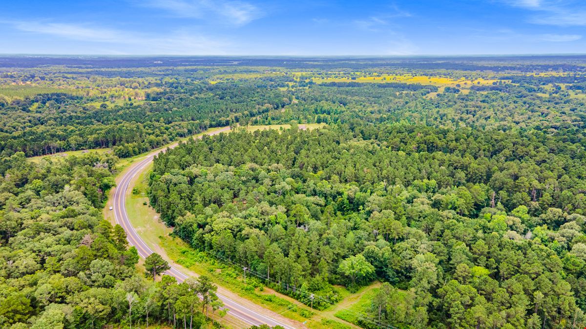 Strategic Land Investment in Trinity