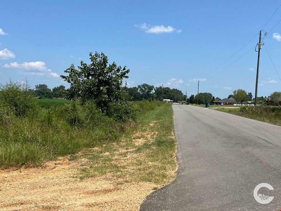 256 +/- Acre Investment Opportunity in Brewton, AL