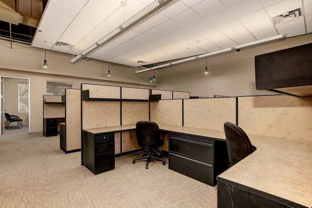 New Creative Office