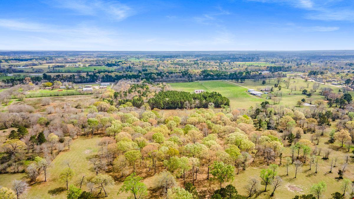 ±80 Acres For Sale | Prime Land Opportunity in New Waverly, TX