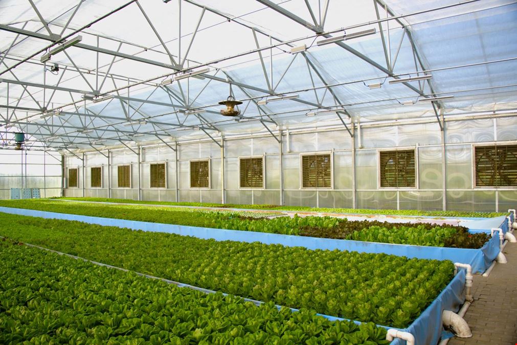 Turnkey Aquaponic Farm - Opportunity Zone