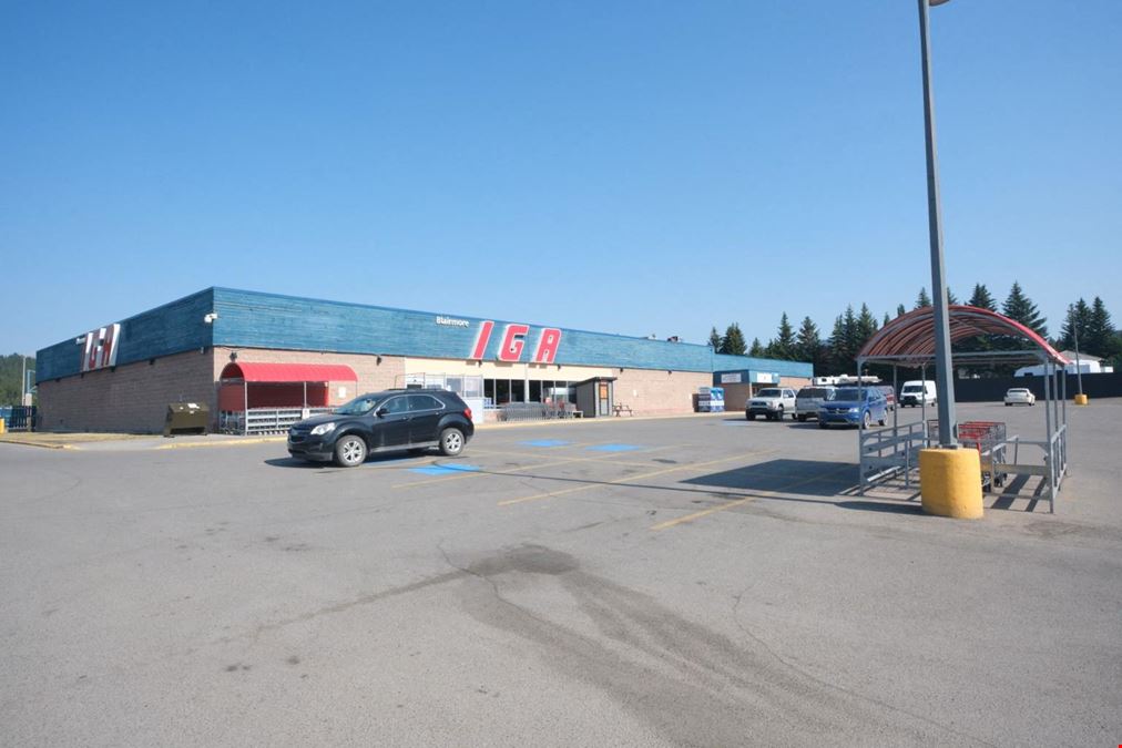 100% Leased NNN Investment - Grocery-Anchored Crowsnest Mall