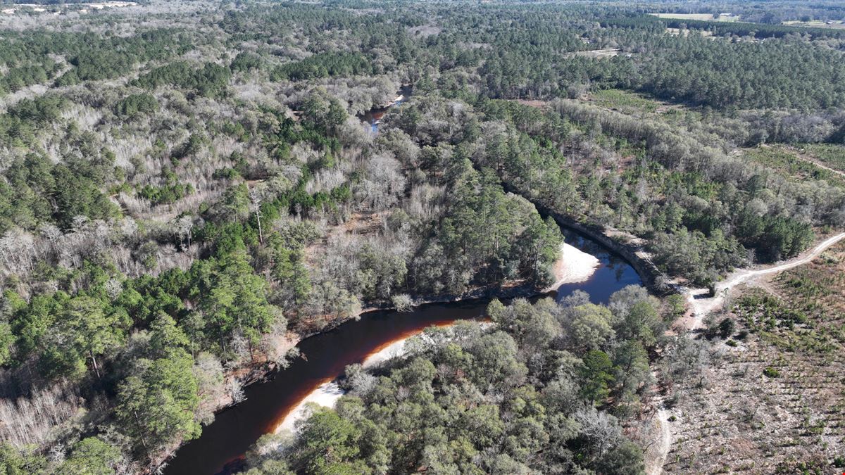 1,142 Acres In Ware County