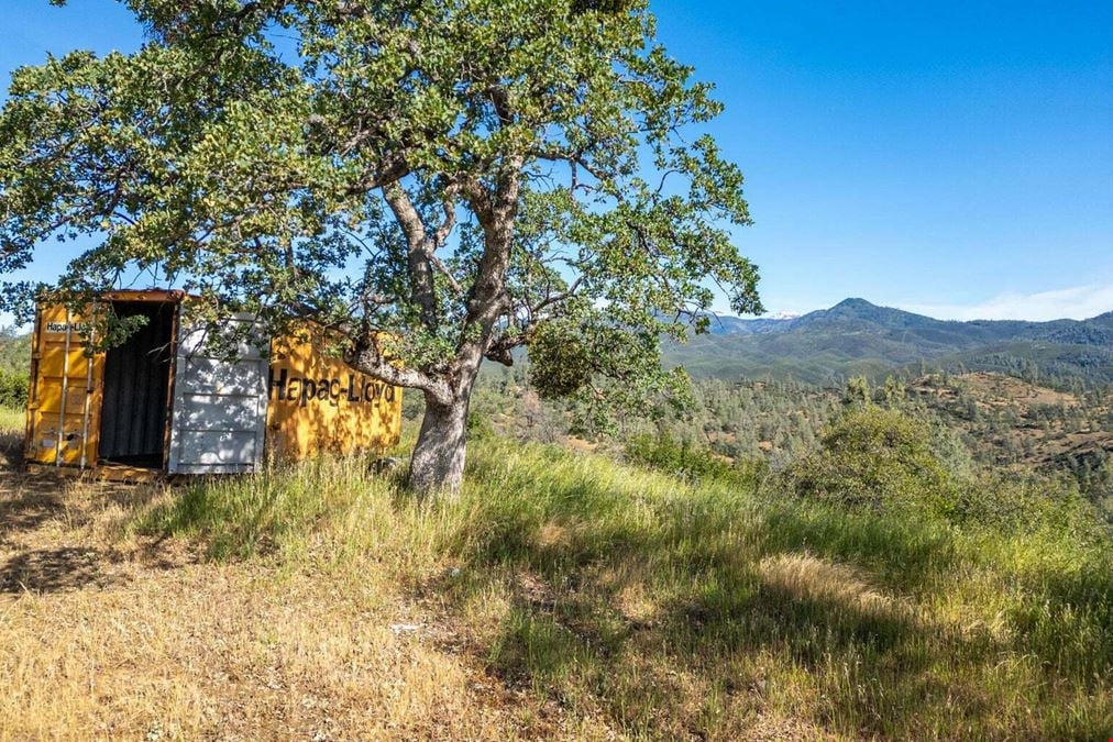 ±20 Acres of Level Land in Igo, CA