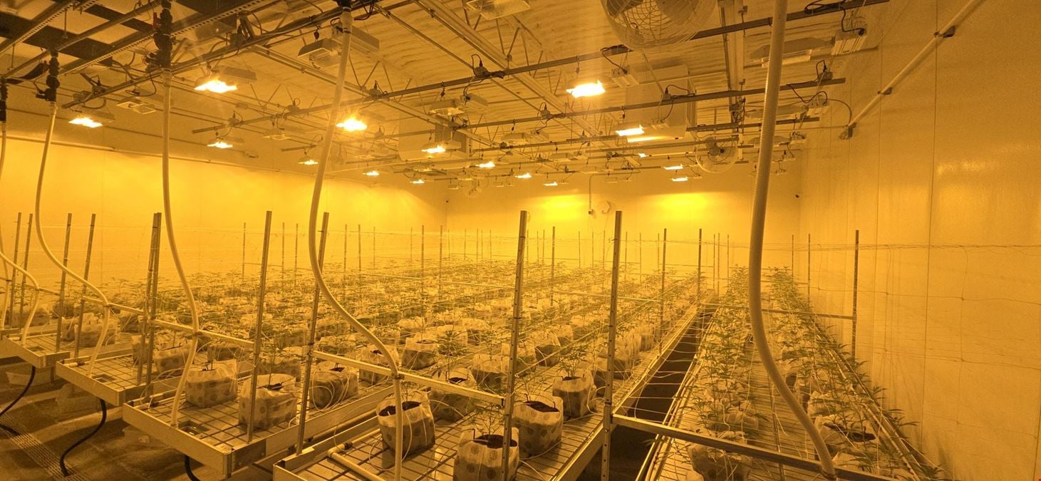 Lansing - Former Operating/Turnkey Retailer & Cultivation/Processing Facility
