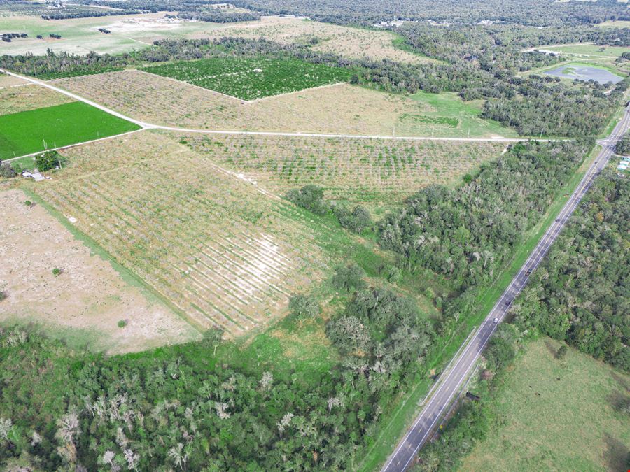 Peace River Mixed-Use Development Tract — 114± Acres | 18± AC Commercial | 2,179' on SR-64