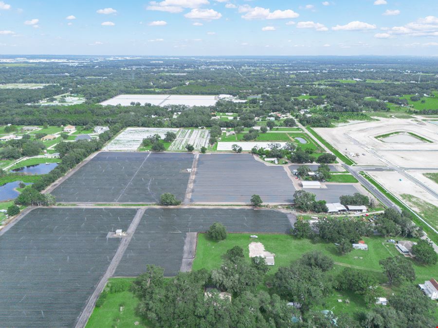 Trapnell Residential Development