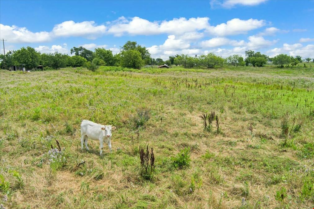 6.02 Acres on Seven Mile Lane | Riesel, Texas