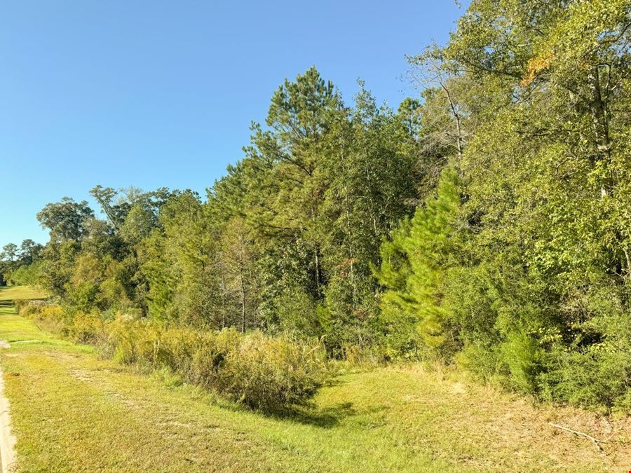 Byrd Blvd Petal Land