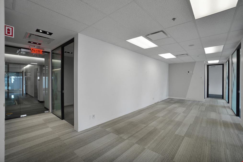 425 de Maisonneuve