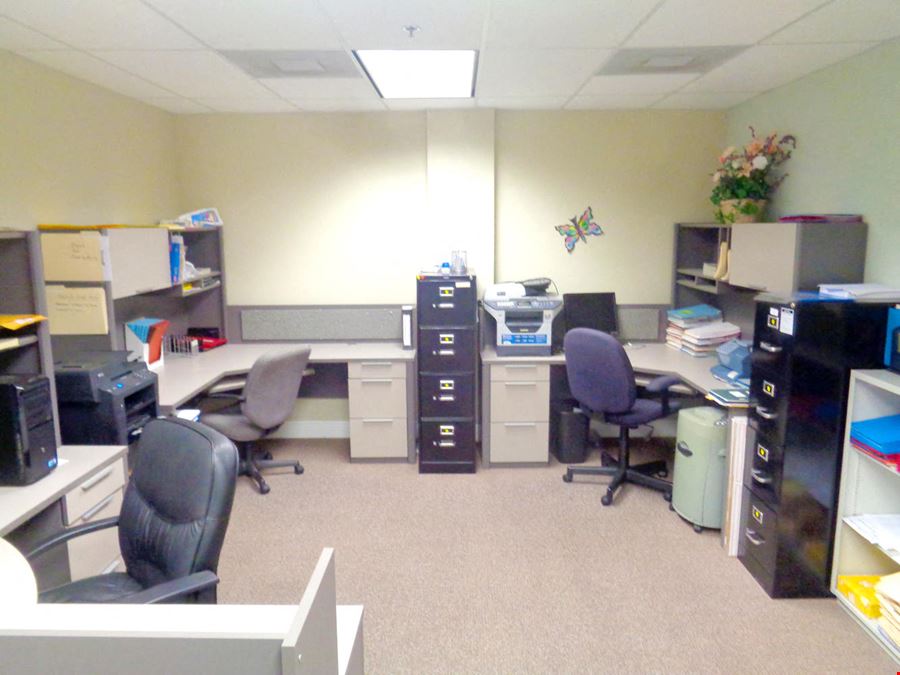 Professional Office