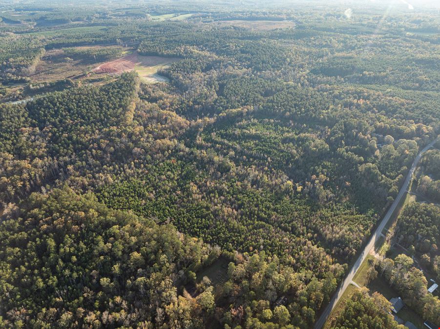 Puckett Ferry